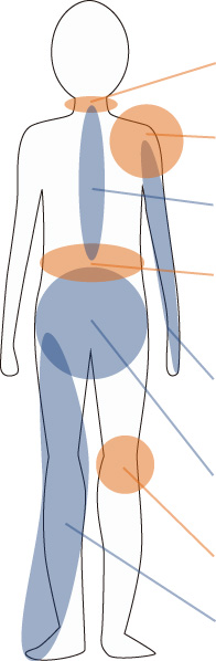 人体イラスト