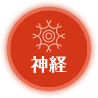 神経