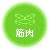 筋肉