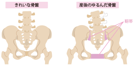 さんご