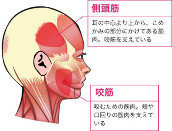 病院や整形外科 整体マッサージで良くならない方が改善していく豊橋市のふたば接骨院 整骨院 整体院 口コミ人気も上位 病院や整形外科 整体マッサージで良くならない方が改善していく豊橋市のふたば接骨院 整骨院 整体院 口コミ人気も上位