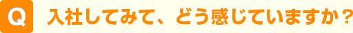 入社してみて、どう感じていますか？